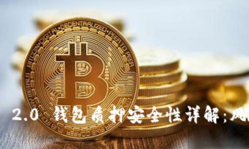 Tokenim 2.0 钱包质押安全性详解：风险与防范