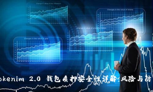 Tokenim 2.0 钱包质押安全性详解：风险与防范