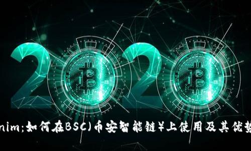 Tokenim:如何在BSC(币安智能链)上使用及其优势解析