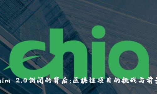 Tokenim 2.0倒闭的背后:区块链项目的挑战与前景分析