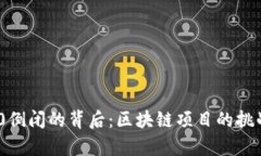 Tokenim 2.0倒闭的背后：区块链项目的挑战与前景分