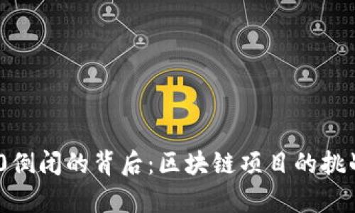 Tokenim 2.0倒闭的背后:区块链项目的挑战与前景分析