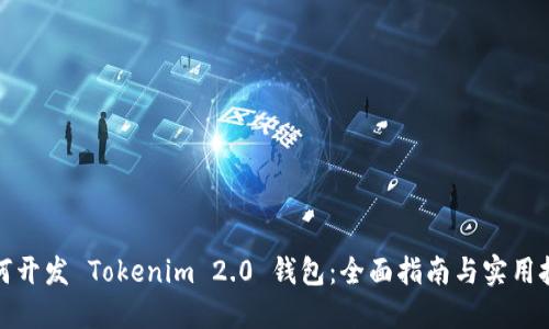 如何开发 Tokenim 2.0 钱包:全面指南与实用技巧