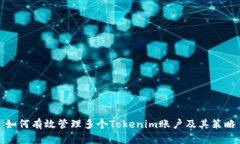 如何有效管理多个Tokenim账户及其策略
