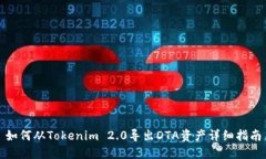 如何从Tokenim 2.0导出DTA资产详细指南