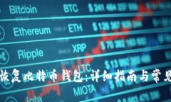 如何有效恢复比特币钱包：详细指南与常见问题