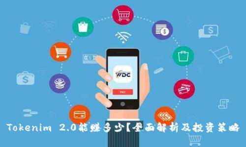 Tokenim 2.0能赚多少?全面解析及投资策略