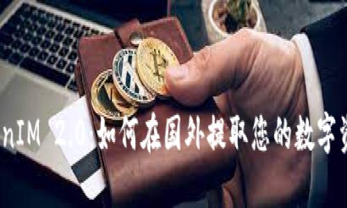 TokenIM 2.0:如何在国外提取您的数字资产?