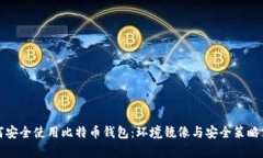 如何安全使用比特币钱包：环境镜像与安全策略