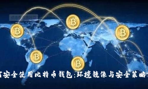 如何安全使用比特币钱包:环境镜像与安全策略分析