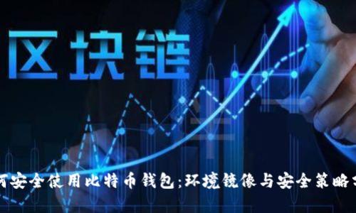 如何安全使用比特币钱包:环境镜像与安全策略分析
