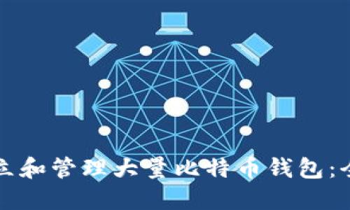 如何建立和管理大量比特币钱包:全面指南