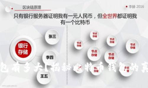 最大的比特币钱包有多大?揭秘比特币钱包的真实容量与影响力