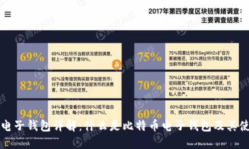 比特币电子钱包详解:什么是比特币电子钱包及其使用指南
