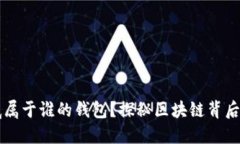 虚拟币到底属于谁的钱包？探秘区块链背后的资