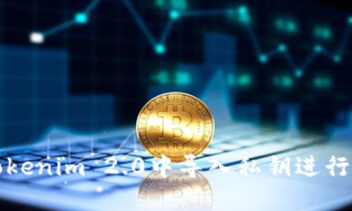 如何在Tokenim 2.0中导入私钥进行资产管理