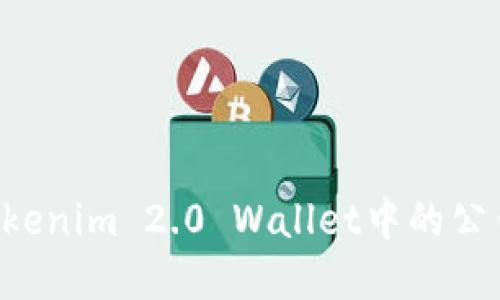 如何安全使用Tokenim 2.0 Wallet中的公钥,避免资产被盗