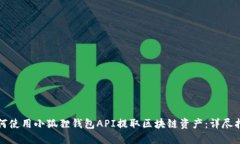 如何使用小狐狸钱包API提取区块链资产：详尽指