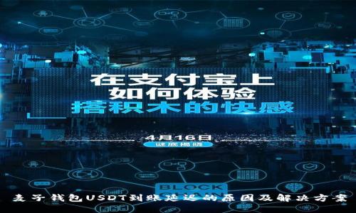 麦子钱包USDT到账延迟的原因及解决方案