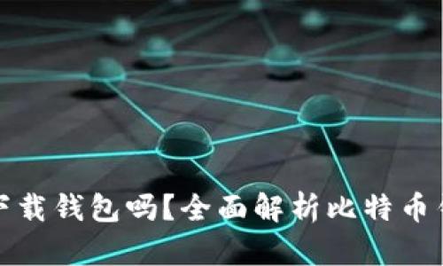 比特币交易需要下载钱包吗?全面解析比特币钱包使用的必要性