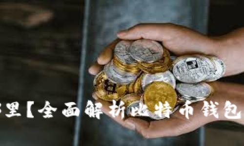 : 比特币钱包服务器在哪里?全面解析比特币钱包的运行原理与服务器分布