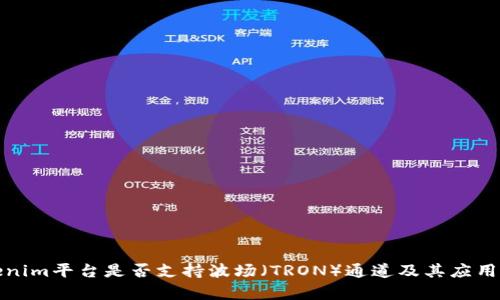 Tokenim平台是否支持波场(TRON)通道及其应用解析