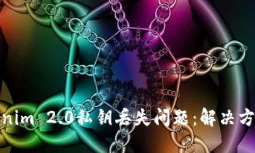 如何处理Tokenim 2.0私钥丢失问题:解决方案与预防措施