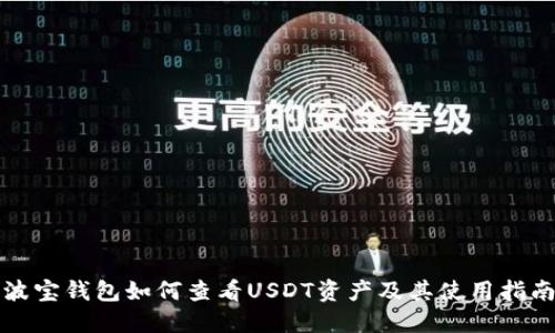 波宝钱包如何查看USDT资产及其使用指南