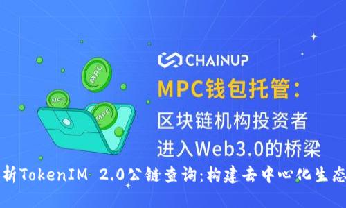 深入解析TokenIM 2.0公链查询:构建去中心化生态的未来