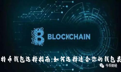 比特币钱包选择指南:如何选择适合你的钱包类型