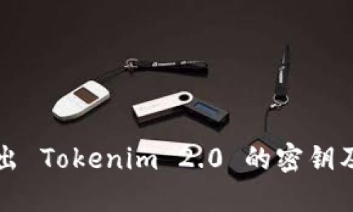如何安全导出 Tokenim 2.0 的密钥及其应用指南