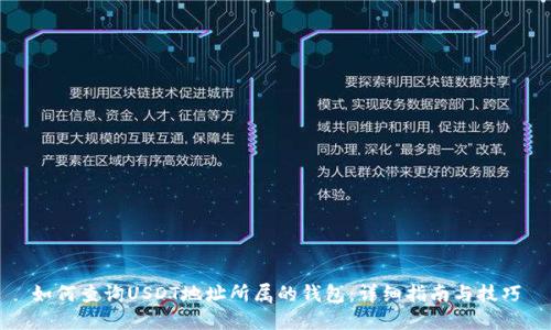 如何查询USDT地址所属的钱包:详细指南与技巧