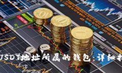 如何查询USDT地址所属的钱包：详细指南与技巧