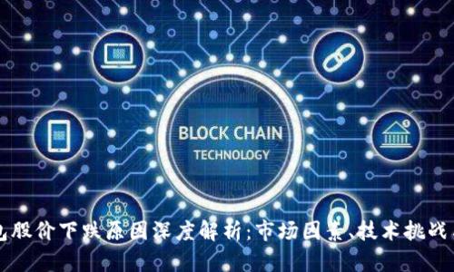 区块链钱包股价下跌原因深度解析:市场因素、技术挑战与竞争格局