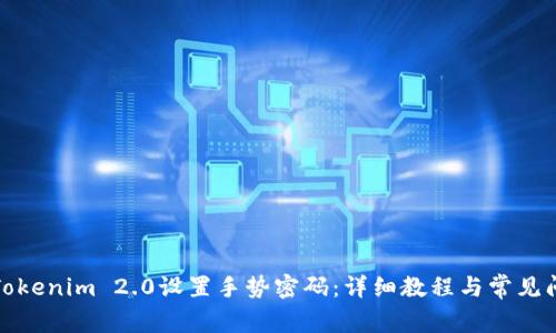 如何在Tokenim 2.0设置手势密码:详细教程与常见问题解答