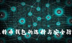 国内比特币钱包的选择与安全防护指南