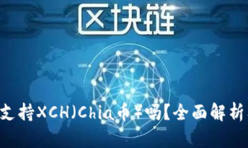 Tokenim支持XCH(Chia币)吗?全面解析及其影响
