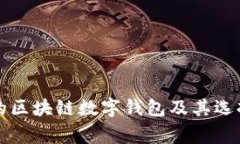 常用的区块链数字钱包及其选择指南