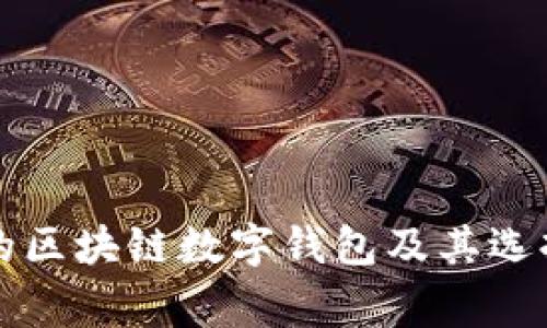 常用的区块链数字钱包及其选择指南