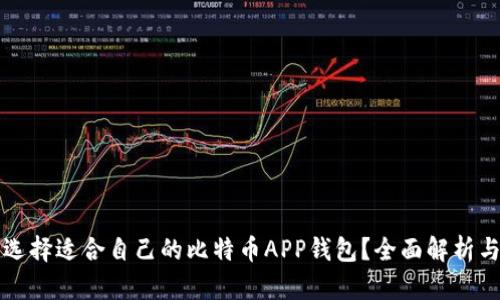 如何选择适合自己的比特币APP钱包?全面解析与推荐