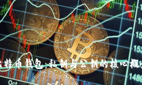 全面解析比特币钱包:私钥与公钥的核心概念与安全性