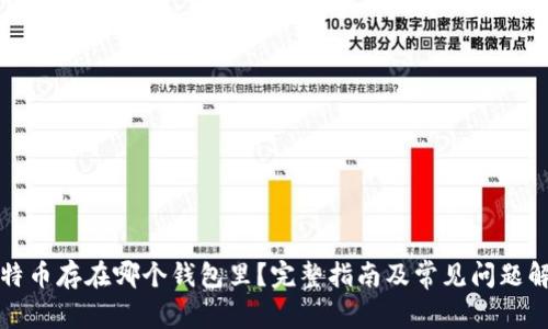 比特币存在哪个钱包里?完整指南及常见问题解答