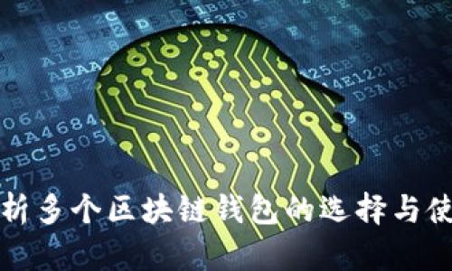 全面解析多个区块链钱包的选择与使用指南