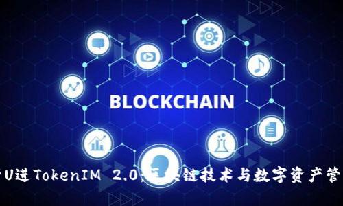 全面解析U进TokenIM 2.0:区块链技术与数字资产管理的未来