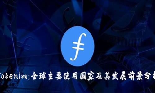 Tokenim:全球主要使用国家及其发展前景分析
