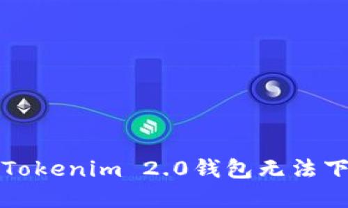 如何解决Tokenim 2.0钱包无法下载的问题