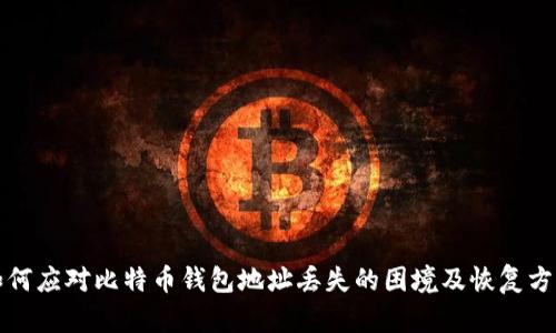 如何应对比特币钱包地址丢失的困境及恢复方法