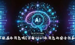 USDT可以放在冷钱包吗？详解USDT冷钱包的安全性和