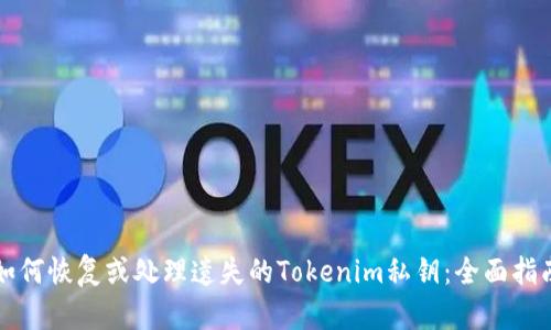 如何恢复或处理遗失的Tokenim私钥:全面指南