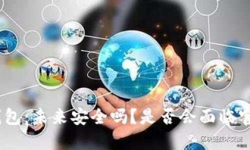 Tokenim 2.0钱包:未来安全吗?是否会面临官网跑路的风险?